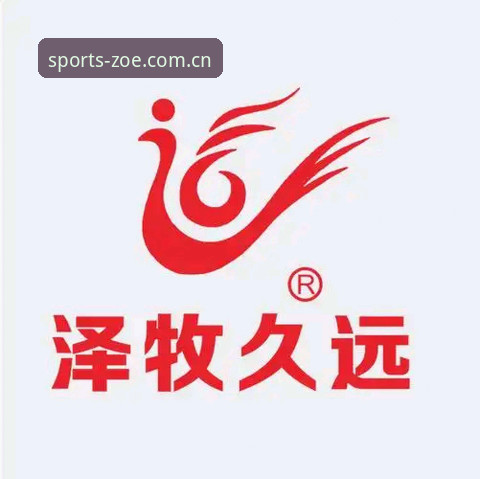 中欧体育官网手机版入口与网页注册，哪个更省心？——一场亲历者的体验对比