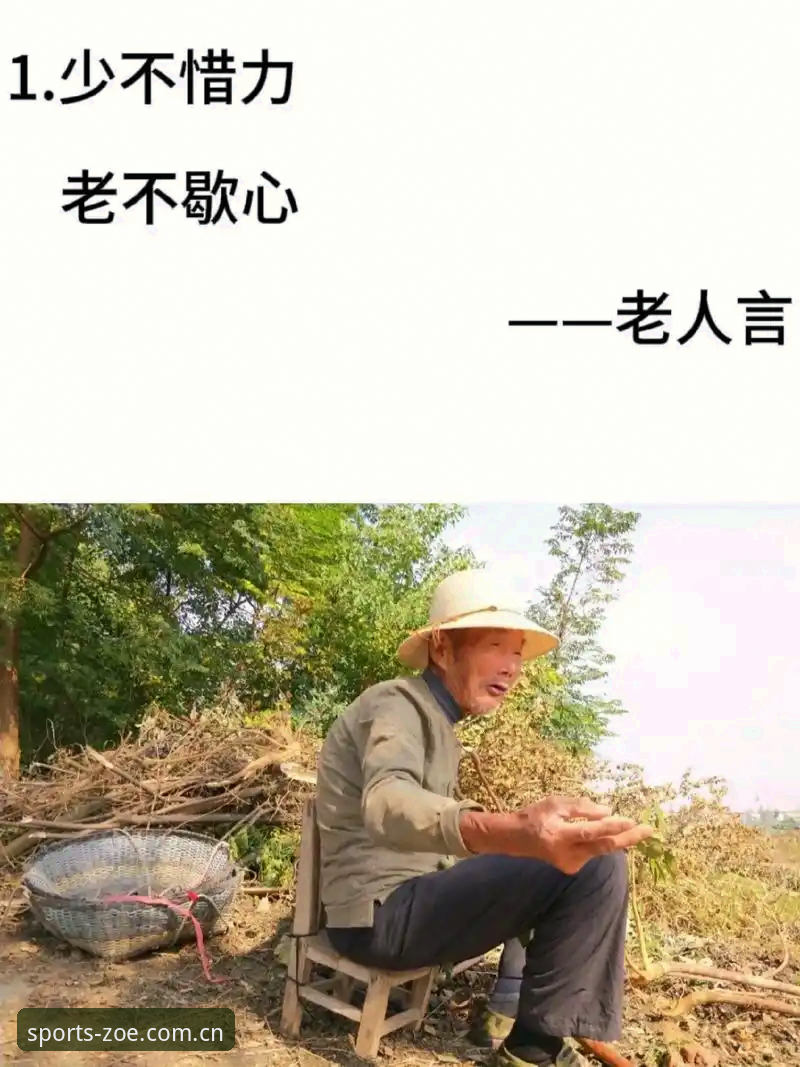 老用户坦白讲：中欧体育官网手机版入口到底怎么用才顺手？我的真实使用心得